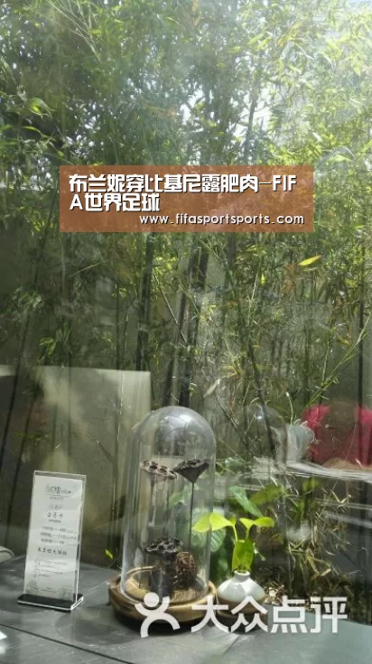布兰妮穿比基尼露肥肉-FIFA世界足球賽(图1) FIFA世界足球賽